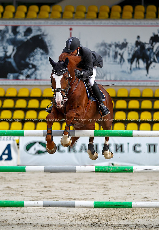 Московский репортаж, Москва, Битца, конный спорт, CSI 3*, конкур 