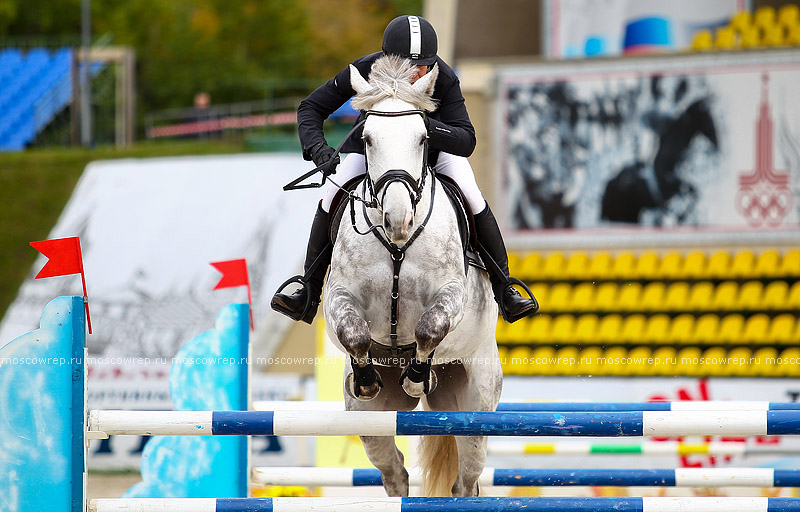 Московский репортаж, Москва, Битца, конный спорт, CSI 3*, конкур 