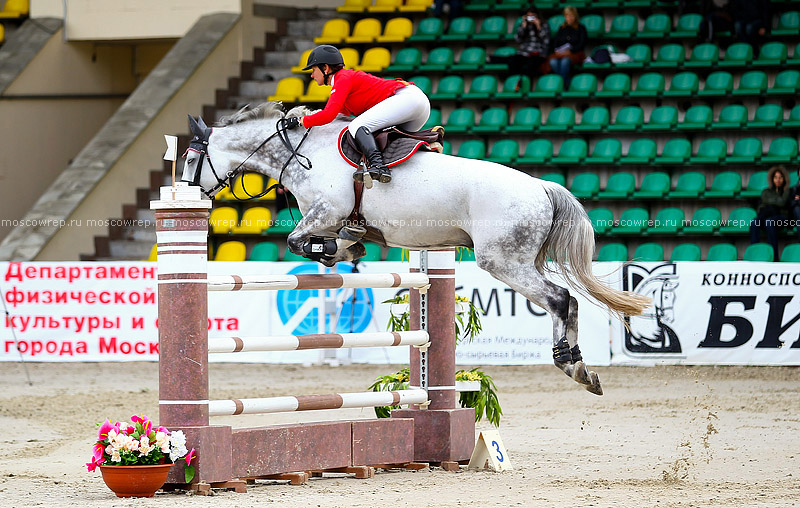 Московский репортаж, Москва, Битца, конный спорт, CSI 3*, конкур 