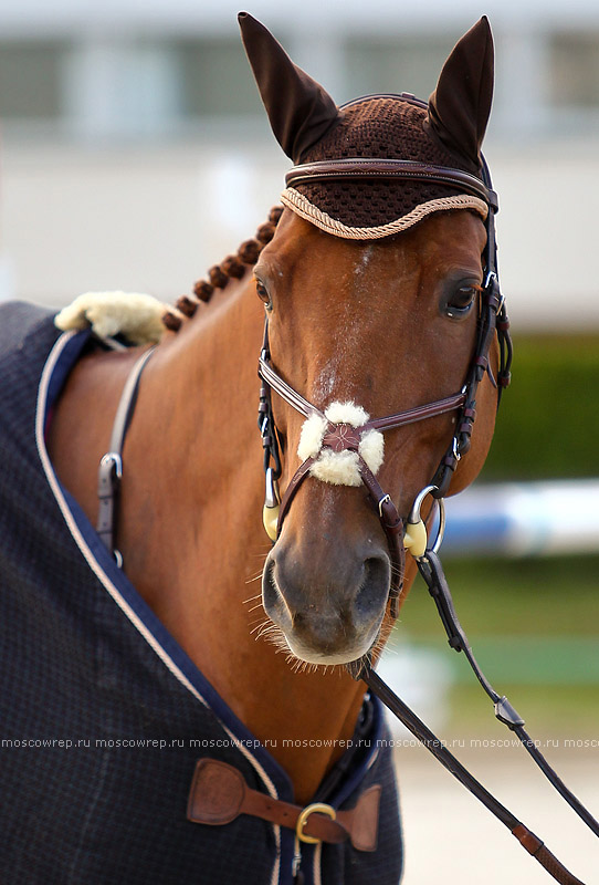 Московский репортаж, Москва, Битца, конный спорт, CSI 3*, конкур 