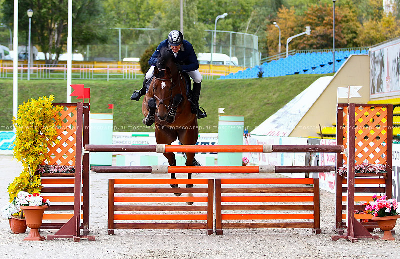 Московский репортаж, Москва, Битца, конный спорт, CSI 3*, конкур 