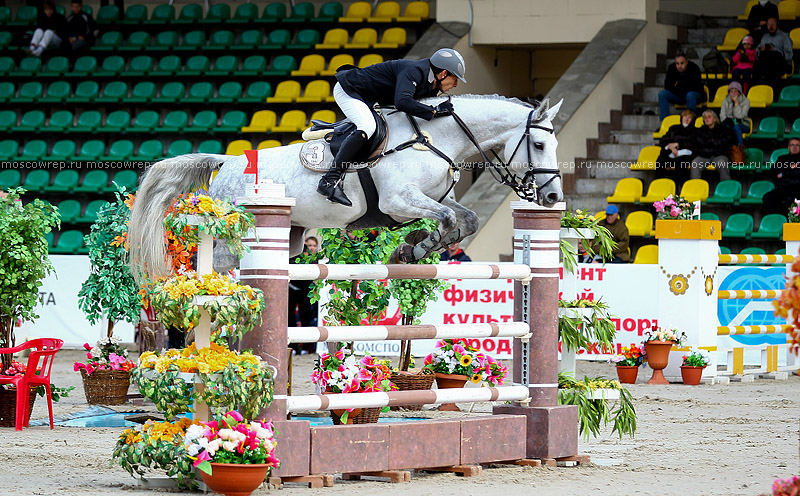 Московский репортаж, Москва, Битца, конный спорт, CSI 3*, конкур 