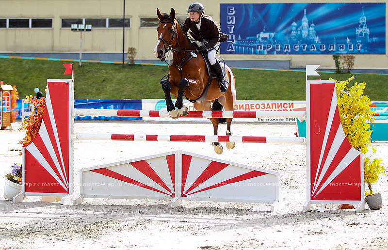 Московский репортаж, Москва, Битца, конный спорт, CSI 3*, конкур 