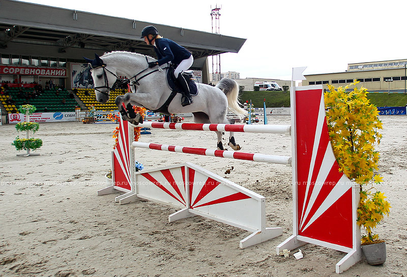 Московский репортаж, Москва, Битца, конный спорт, CSI 3*, конкур 