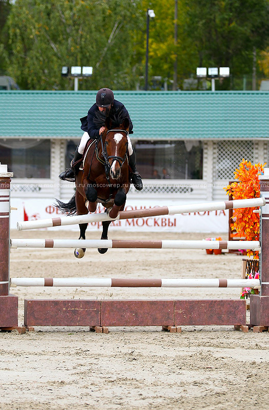 Московский репортаж, Москва, Битца, конный спорт, CSI 3*, конкур 