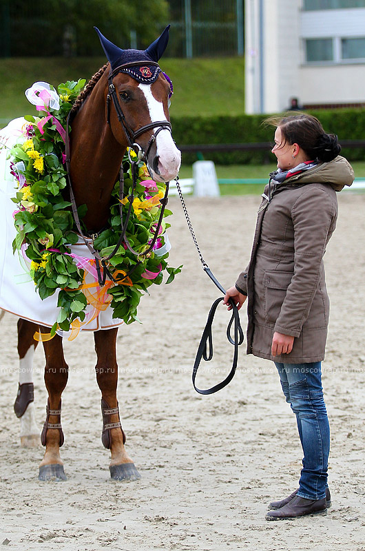 Московский репортаж, Москва, Битца, конный спорт, CSI 3*, конкур 