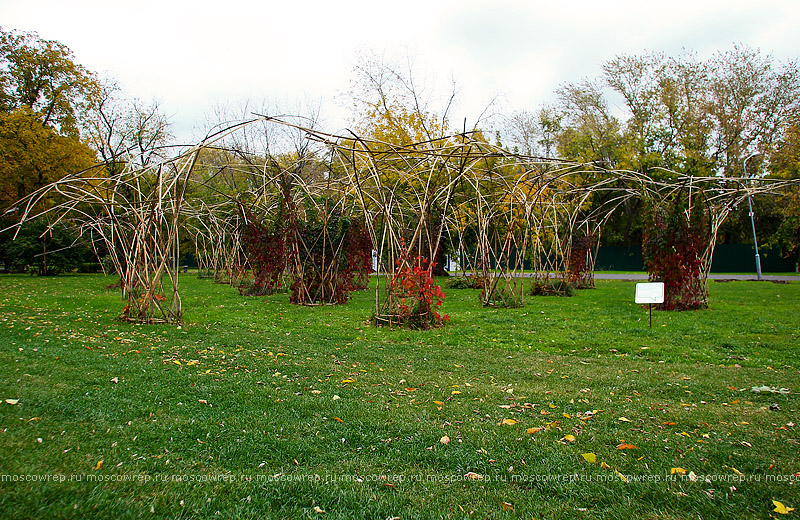 Московский репортаж, Москва, ЦПКиО, Парк культуры, Парк Горького, Seasons project