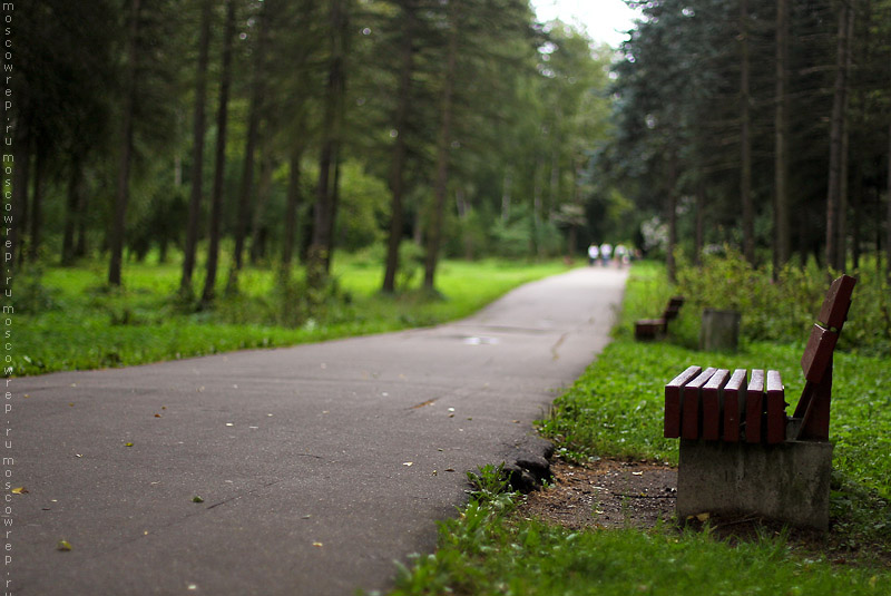 Московский репортаж, Москва, Ботанический сад