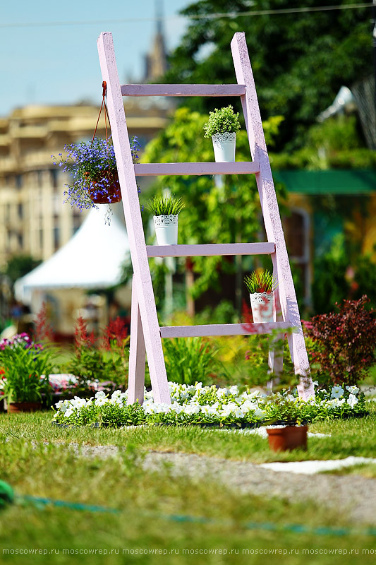 Московский репортаж, Москва, Garden Фест, Музеон