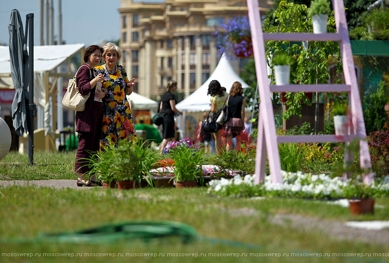 Московский репортаж, Москва, Garden Фест, Музеон