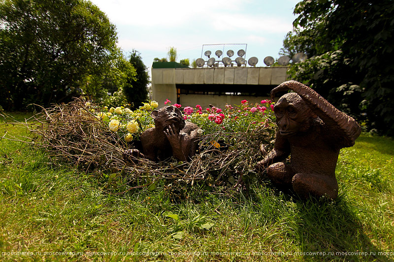 Московский репортаж, Москва, Garden Фест, Музеон