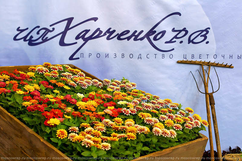 Московский репортаж, Москва, Международная выставка цветов, ВВЦ