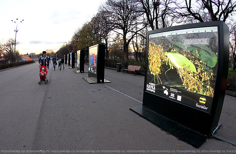 Московский репортаж, Москва, Парк Горького, Planetpics