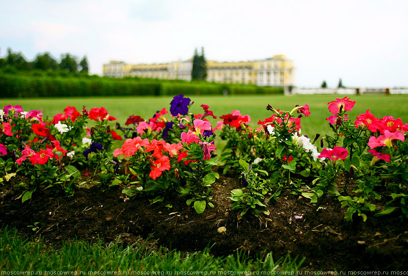 Московский репортаж, Москва, Архангельское