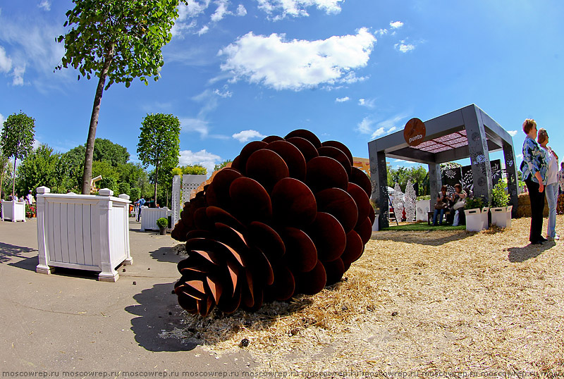 Московский репортаж, Москва, Парк Горького, Moscow Flower Show