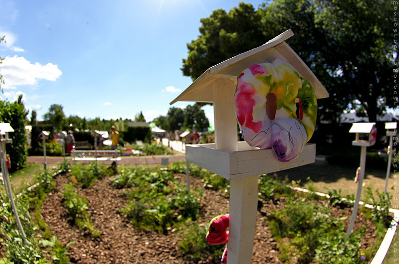 Московский репортаж, Москва, Парк Горького, Moscow Flower Show
