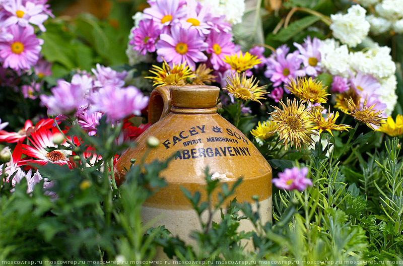 Московский репортаж, Москва, Парк Горького, Moscow Flower Show