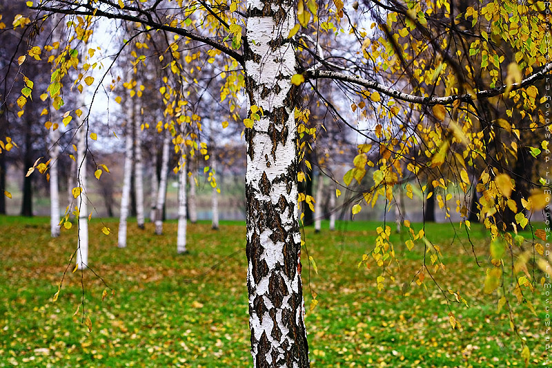 Москва, Московский репортаж, Измайловский остров<br />
