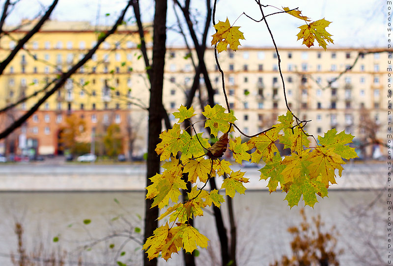 Москва, Московский репортаж, Нескучный, осень