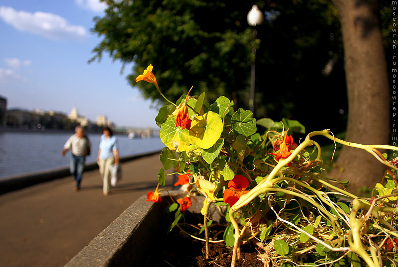 Московский репортаж, Москва, Нескучный сад