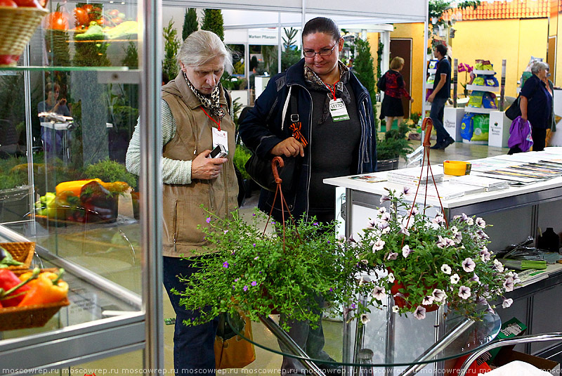 Московский репортаж, Москва, ВДНХ, Цветы Flowers - IPM - 2014, Выставка цветов на ВДНХ