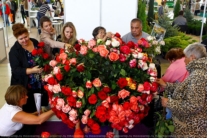 Московский репортаж, Москва, ВДНХ, Цветы Flowers - IPM - 2014, Выставка цветов на ВДНХ