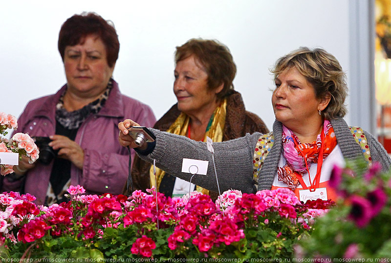 Московский репортаж, Москва, ВДНХ, Цветы Flowers - IPM - 2014, Выставка цветов на ВДНХ