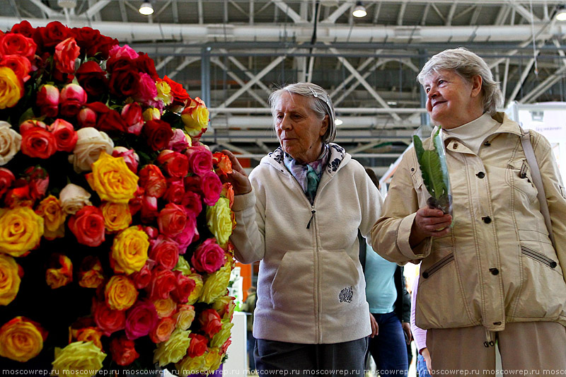 Московский репортаж, Москва, ВДНХ, Цветы Flowers - IPM - 2014, Выставка цветов на ВДНХ