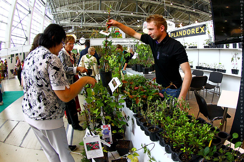 Московский репортаж, Москва, ВДНХ, Цветы Flowers - IPM - 2014, Выставка цветов на ВДНХ