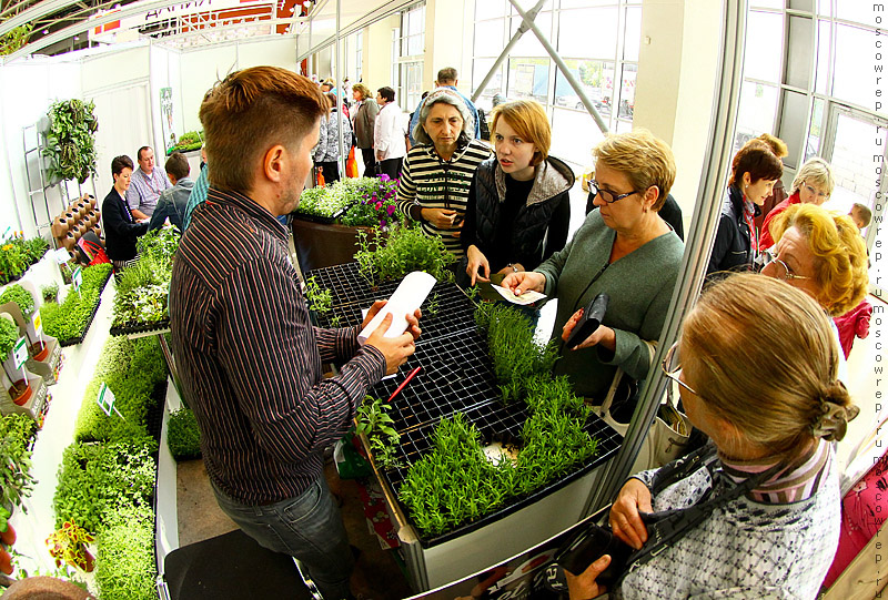 Московский репортаж, Москва, ВДНХ, Цветы Flowers - IPM - 2014, Выставка цветов на ВДНХ