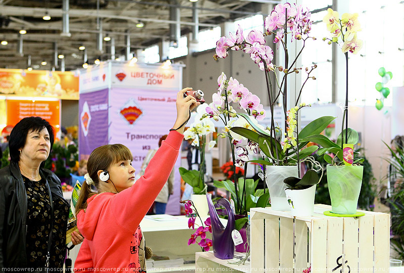 Московский репортаж, Москва, ВДНХ, Цветы Flowers - IPM - 2014, Выставка цветов на ВДНХ