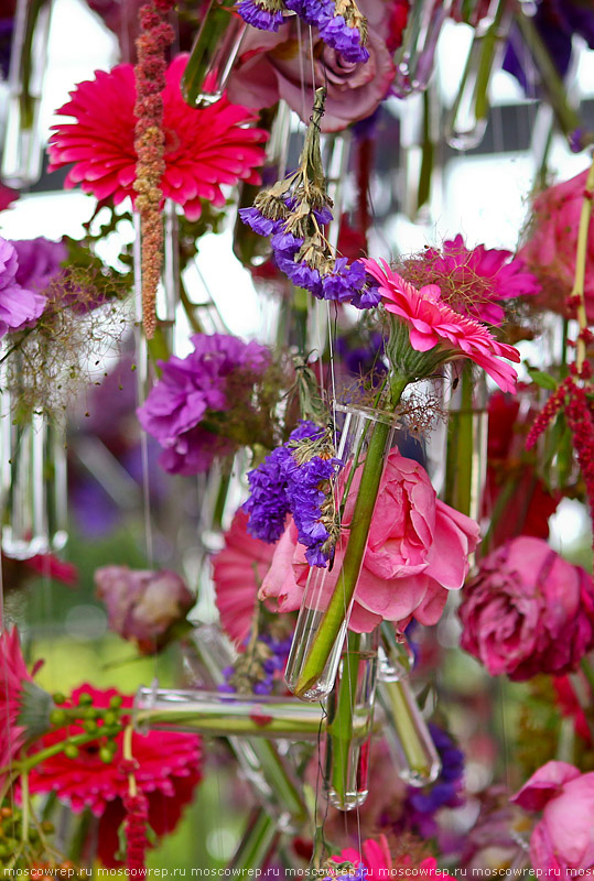 Московский репортаж, Москва, Парк Горького, Moscow Flower Show