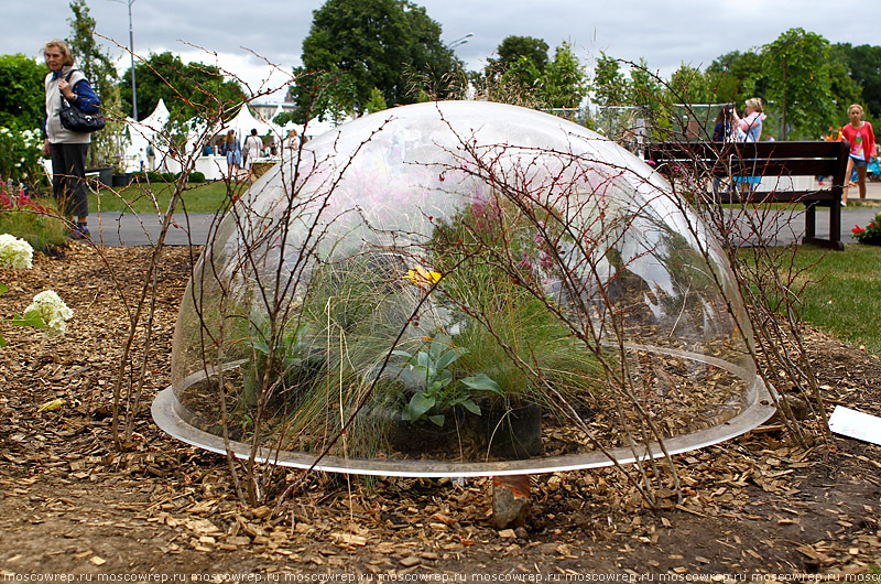 Московский репортаж, Москва, Парк Горького, Moscow Flower Show