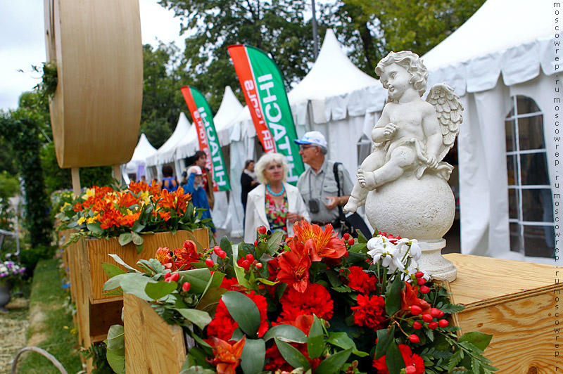 Московский репортаж, Москва, Парк Горького, Moscow Flower Show