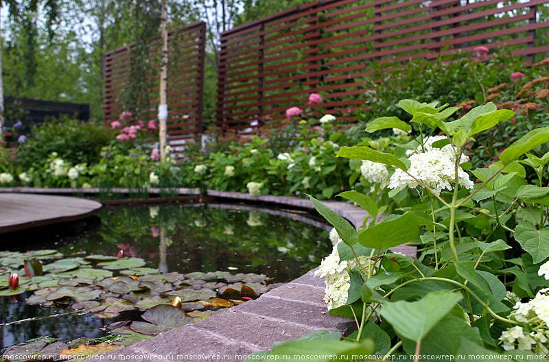 Московский репортаж, Москва, Парк Горького, Moscow Flower Show