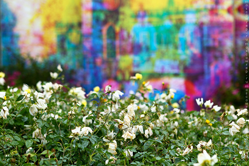 Московский репортаж, Москва, Парк Горького, Moscow Flower Show