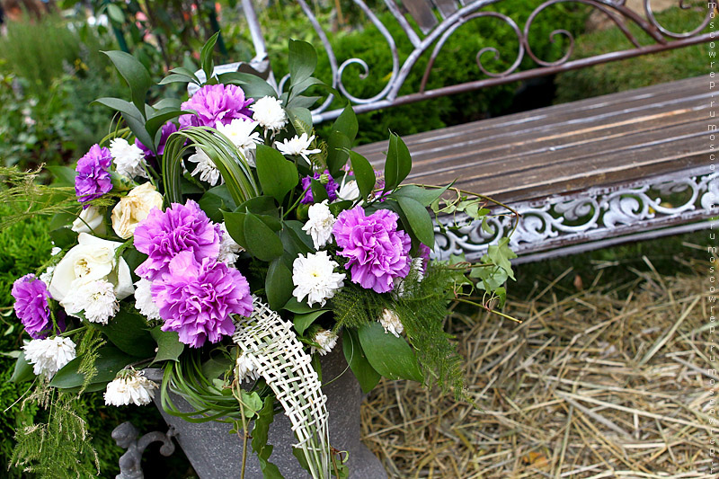 Московский репортаж, Москва, Парк Горького, Moscow Flower Show