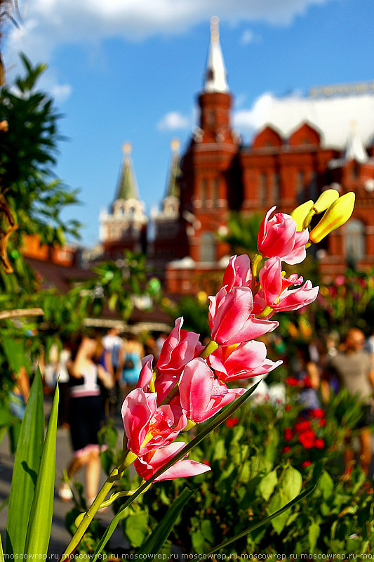 Москва, Московский репортаж,  Московское варенье