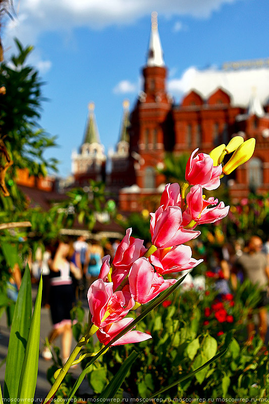 Москва, Московский репортаж,  Московское варенье