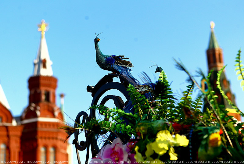 Москва, Московский репортаж,  Московское варенье