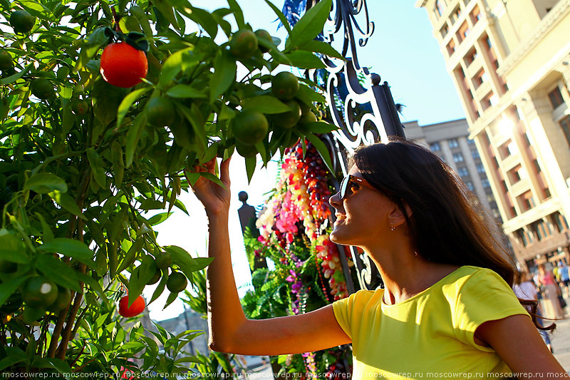 Москва, Московский репортаж,  Московское варенье