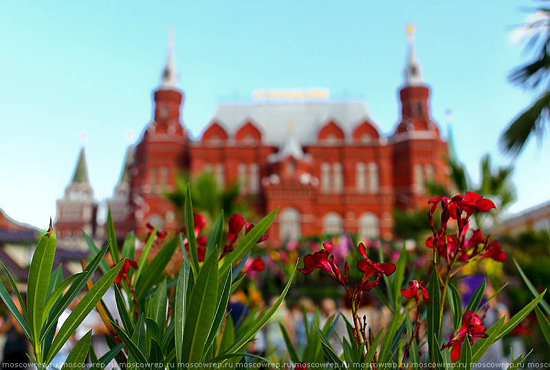 Москва, Московский репортаж,  Московское варенье