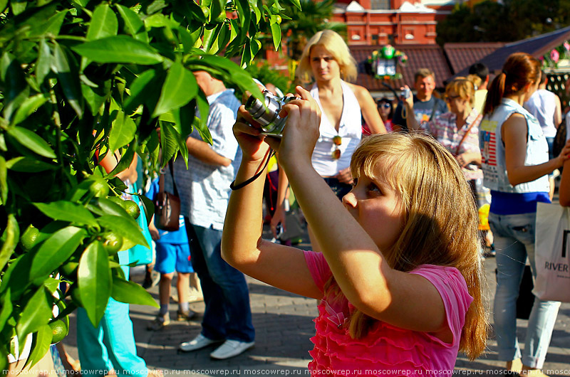 Москва, Московский репортаж,  Московское варенье