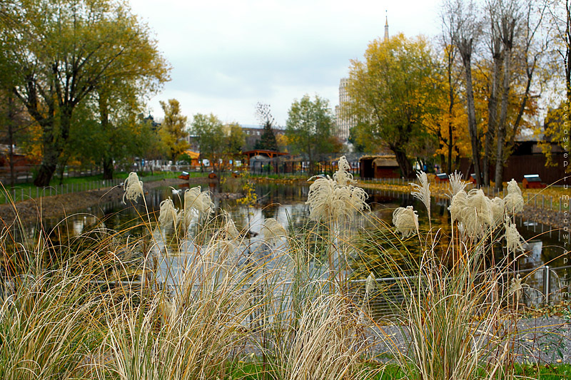 Московский репортаж, Москва, Московский зоопарк, 150 лет зоопарку Москвы, 150 лет московскому зоопарку