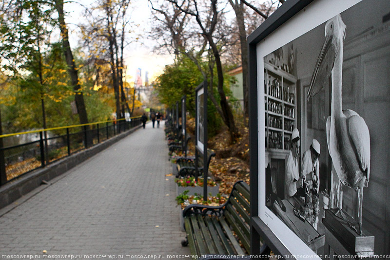 Московский репортаж, Москва, Московский зоопарк, 150 лет зоопарку Москвы, 150 лет московскому зоопарку