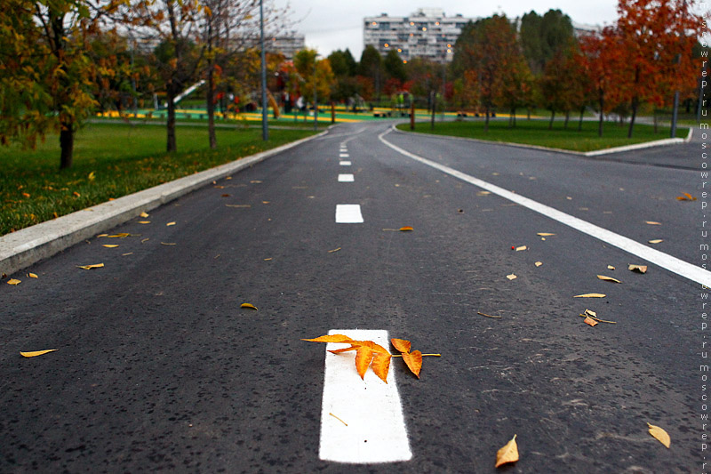 Московский репортаж, Москва, Садовники