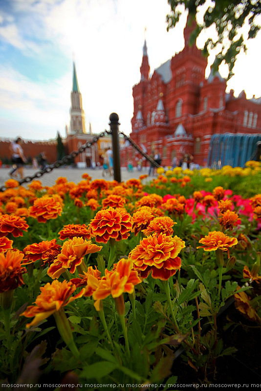 Москва, Московский репортаж, ГУМ, Фестиваль цветов