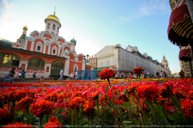 Москва, Московский репортаж, ГУМ, Фестиваль цветов