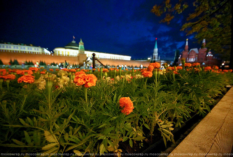 Москва, Московский репортаж, ГУМ, Фестиваль цветов