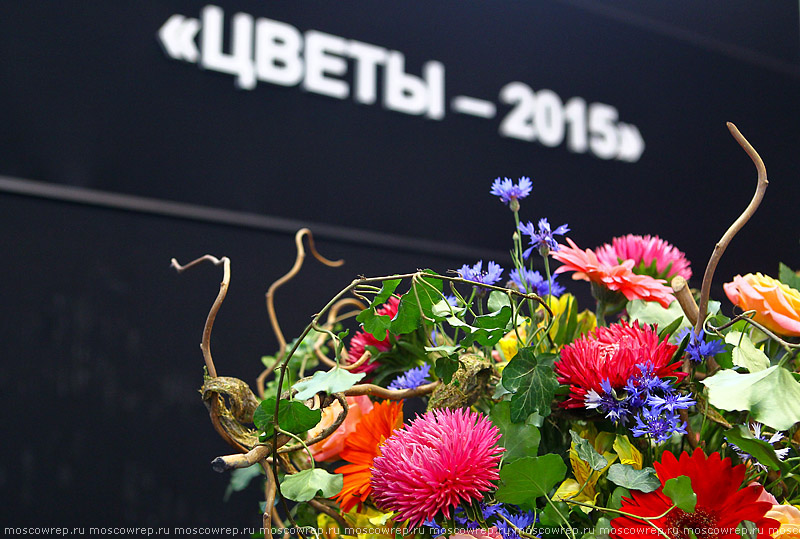 Московский репортаж, Москва, ВДНХ, Цветы/Flowers-2015, Выставка цветов на ВДНХ